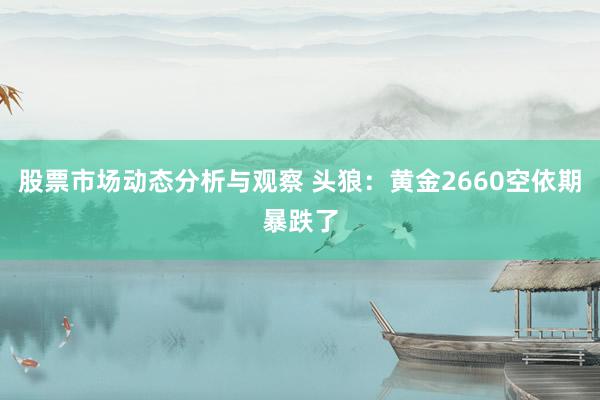 股票市场动态分析与观察 头狼：黄金2660空依期暴跌了