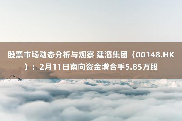 股票市场动态分析与观察 建滔集团（00148.HK）：2月11日南向资金增合手5.85万股