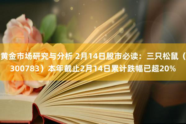 黄金市场研究与分析 2月14日股市必读：三只松鼠（300783）本年截止2月14日累计跌幅已超20%